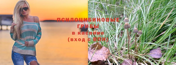 сатива Касимов